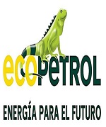 noticia11