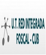 noticia11