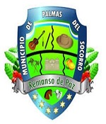 noticia11